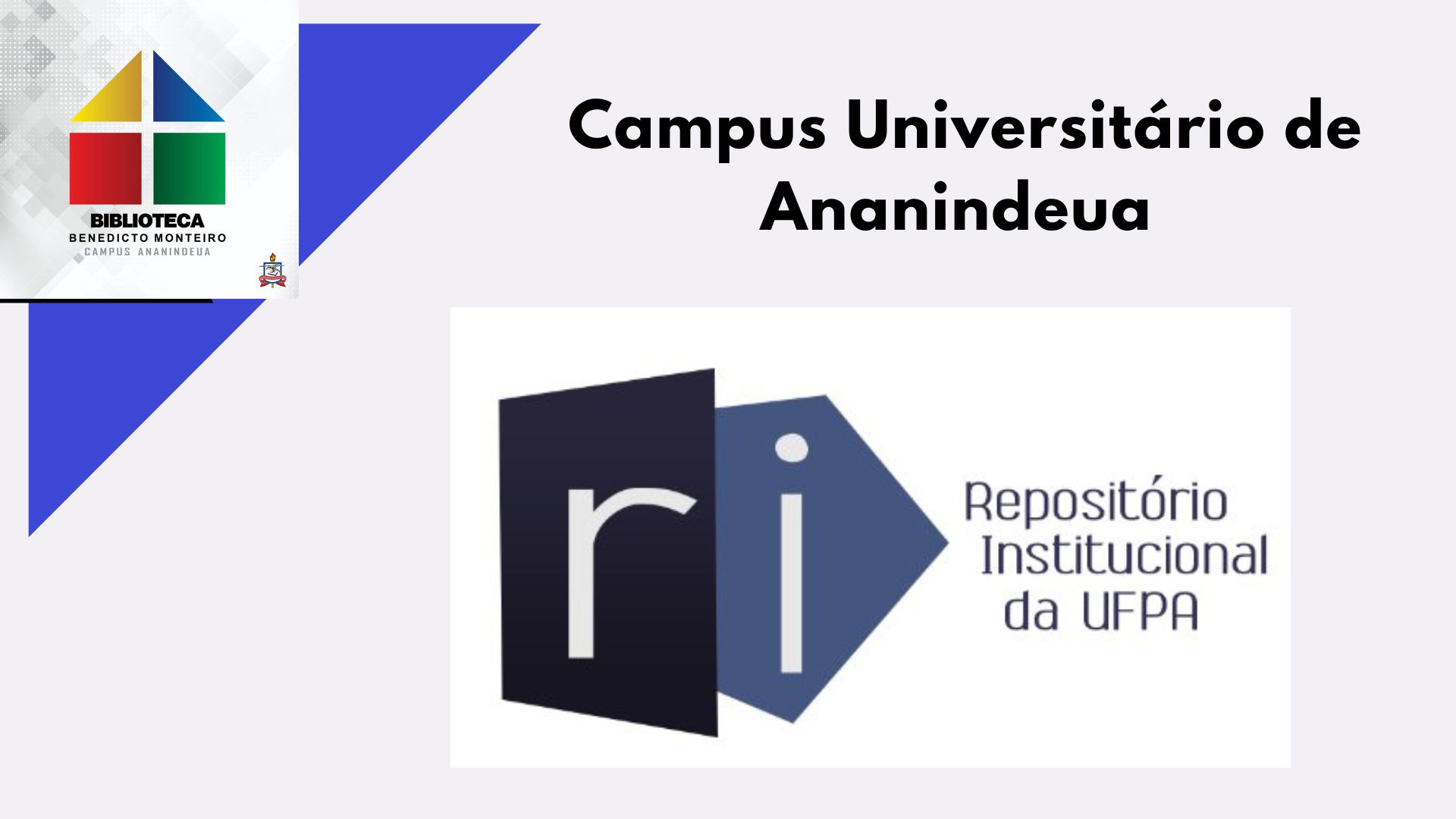 Comunidades e Coleções - Campus Ananindeua